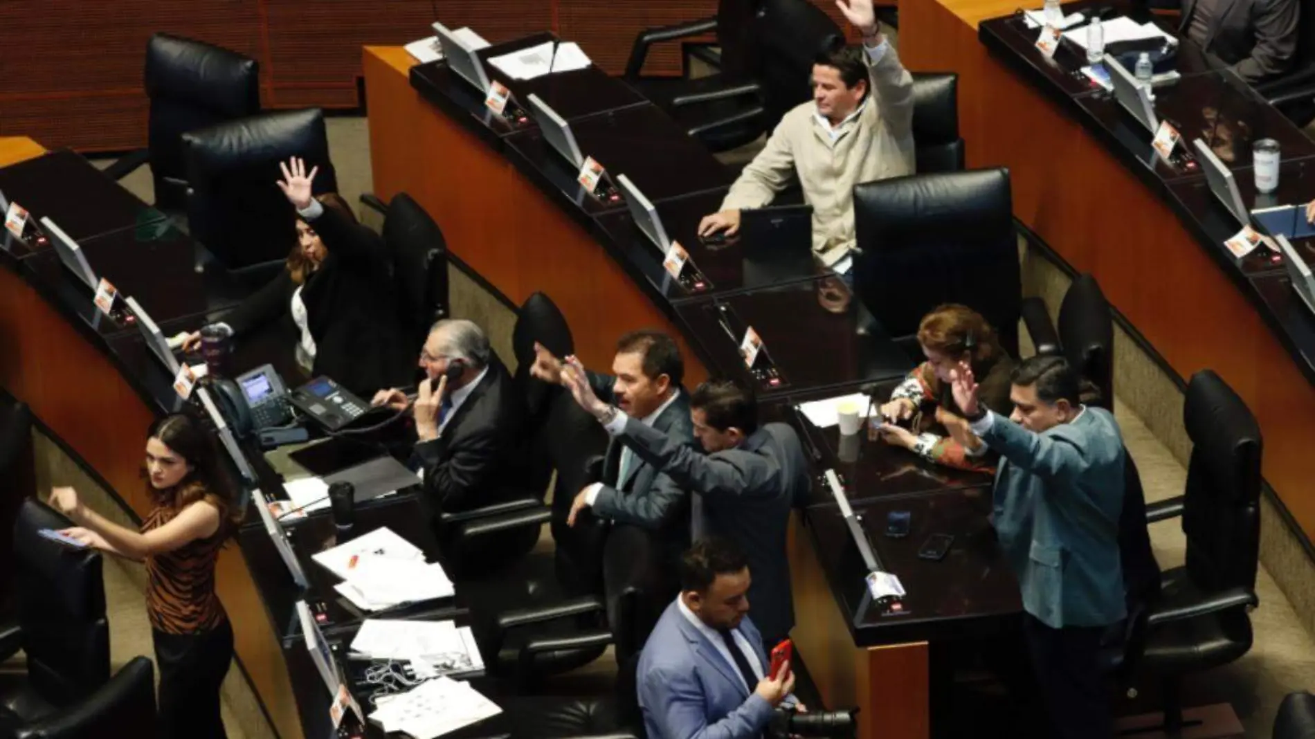 Senado (10)